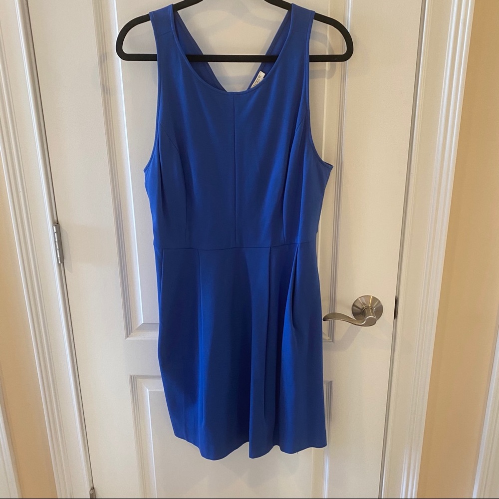 J. Crew Blue Fit and Flare with V Back